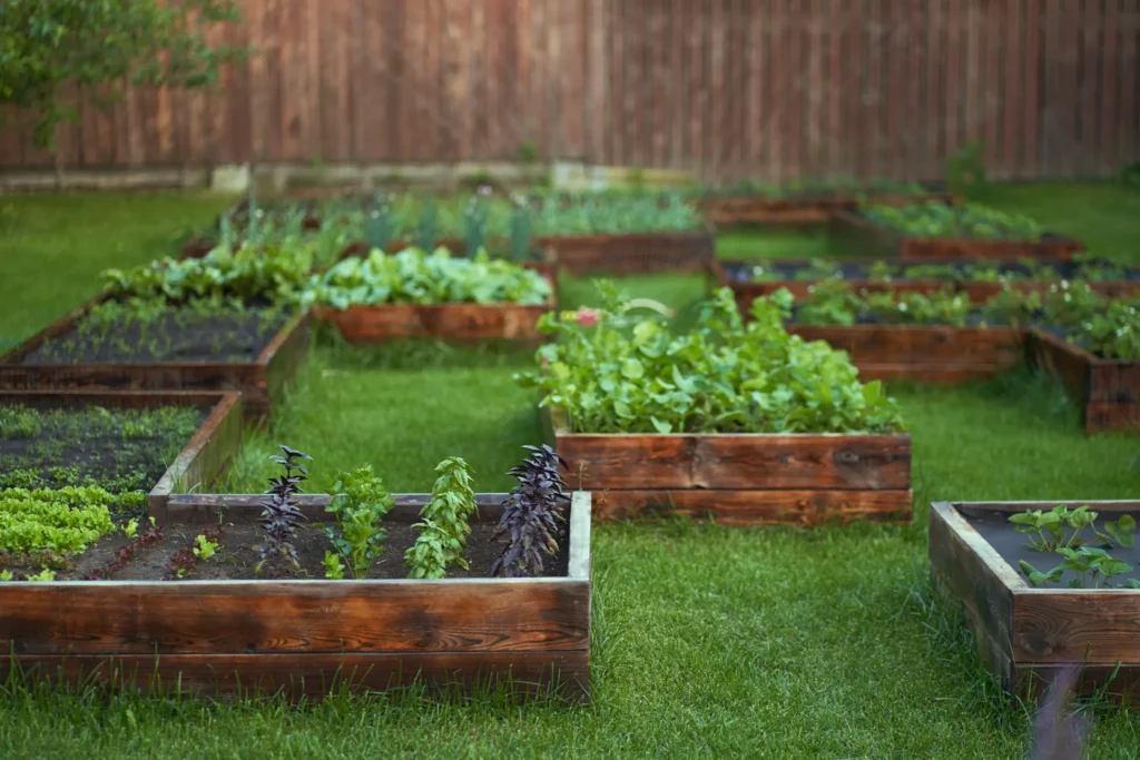 edible-garden-backyard-landscaping